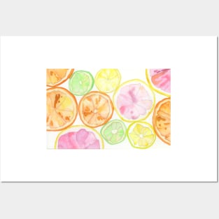 Citrus Slices Posters and Art